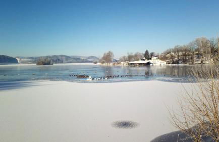 Ferienwohnung Elisabeth - Foto 12