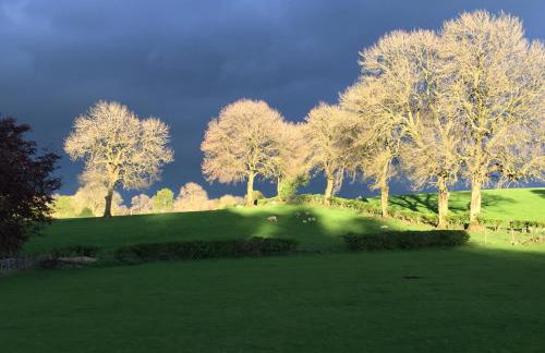 Rocking Stone Cottage - Foto 23