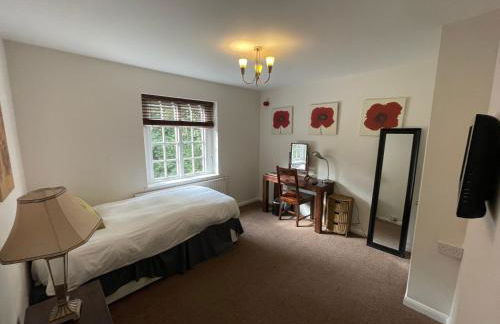 Garden House - Foto 5