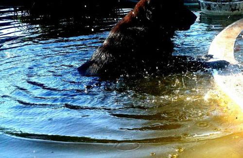 Slow House y La cabaña de Miss Slower - Foto 75