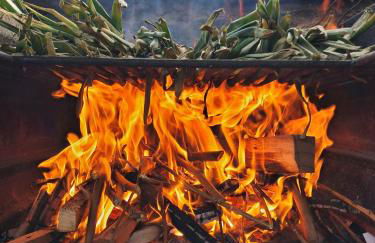 Cal Foraster - Foto 49