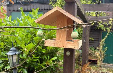 Dom Gościnny Zarembianka - Foto 31