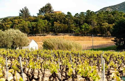 Le Clos des Eucalyptus - Foto 23