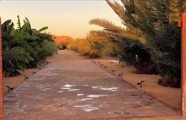 Desert Oasis Retreat With Stunning Views - Foto 3