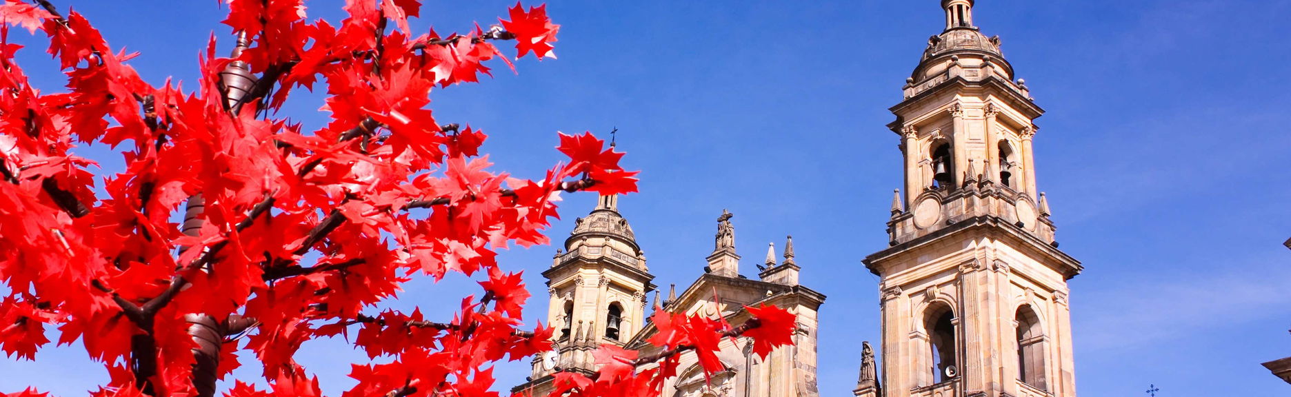 Bogotá Private Tour