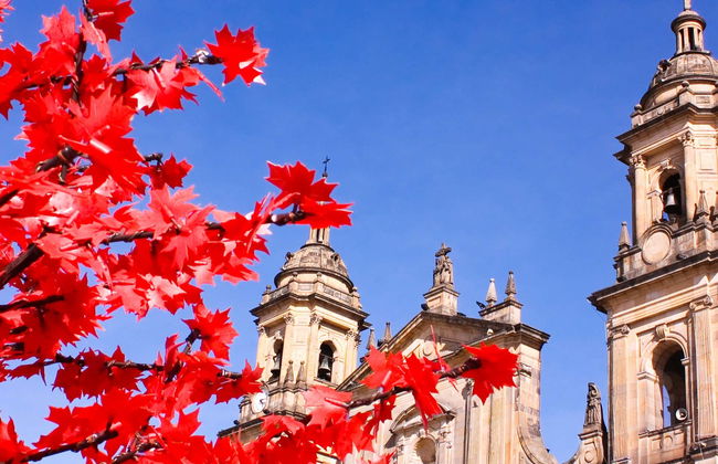 Bogotá Private Tour - Photo 1