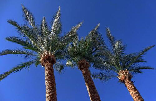 Apartamentos Green Line Bon Sol - AB Group - Photo 53