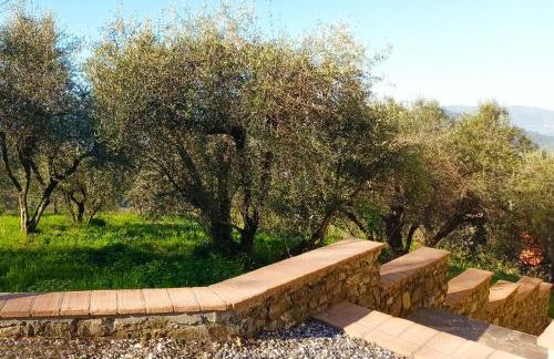 Villa Garibaldino - Foto 22