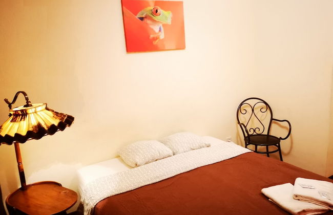 Orange Studio - Photo 19