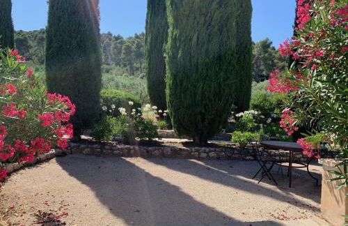 Le Domaine de l'Aiguille Alpilles, Eygalières, Saint Rémy de Provence - Foto 78