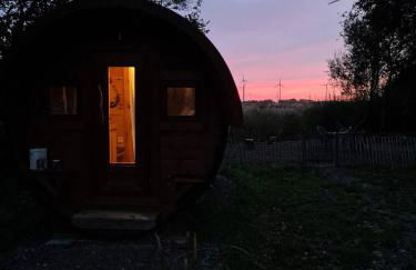 Die Sonnenblume - Foto 10