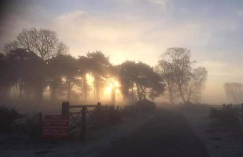 Yewtree Cottage - Foto 8