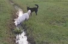 Różany Domek - Foto 23