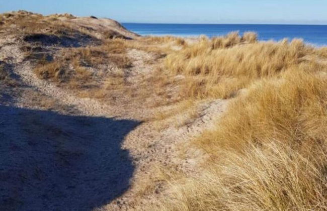 4 Person Holiday Home in Holbaek - Photo 16