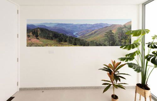 Sun House - Alojamento Local - Ponte de Lima - Photo 17