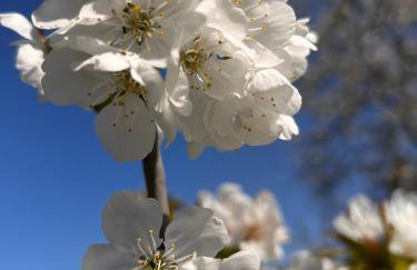 Historic Farmhouse Casa Del Chiodo - Foto 8