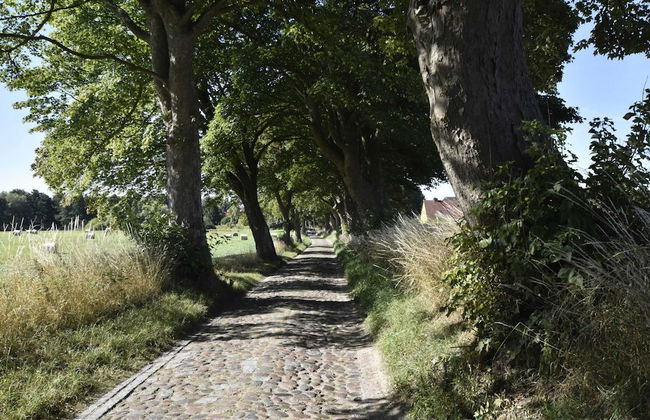 Wohnung bei Kuehlungsborn mit Garten - Foto 18