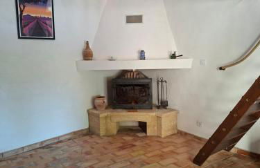 Cabanon provençal en pierre entouré de lavandes - Foto 4