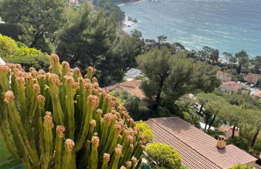 Villa Eze Vue Mer - Foto 49