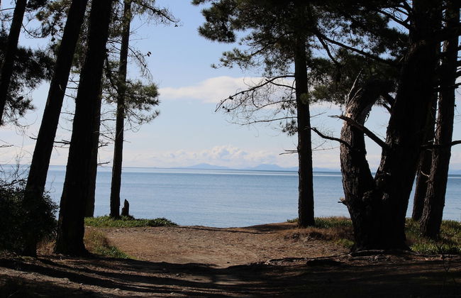 Almyra Waterfront Accommodation - Foto 18