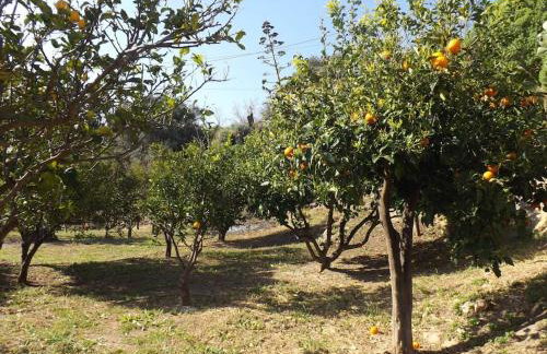 Villa Polirinia - Foto 20