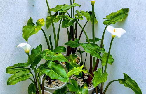 A Casa na Foz - West is the Best ! - Foto 29