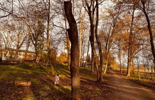 Ferienwohnung I Beck-Bräu nahe Bamberg - Foto 42
