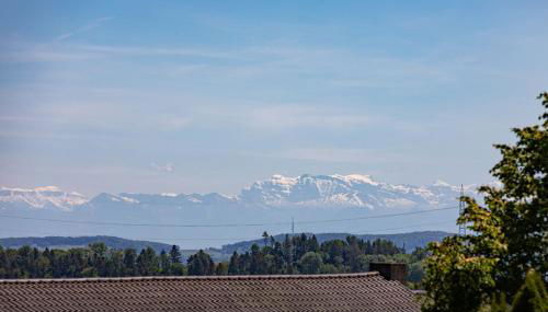 Ferienwohnung "Schlüchttalblick" mit privater Sauna, Ühlingen-Birkendorf - Foto 4