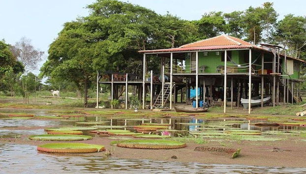 Paraje del canal do Jari