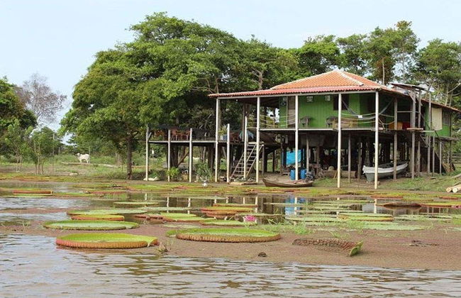 Tour por el canal do Jari - Foto 4