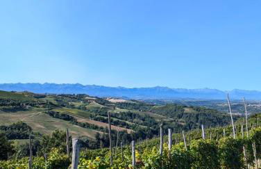 Casa Felice - Foto 39