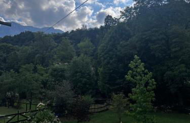 Relax, Comfort & Alps Adventures - Photo 45