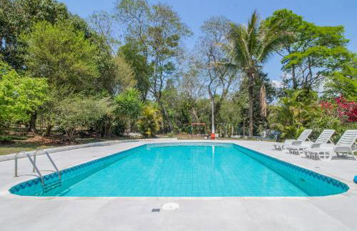 Sitio só Alegria com roupas de cama e banho - Foto 19