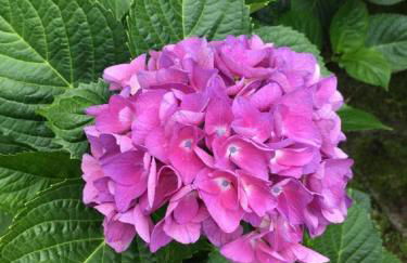 Residenza vista lago mozzafiato - Photo 12