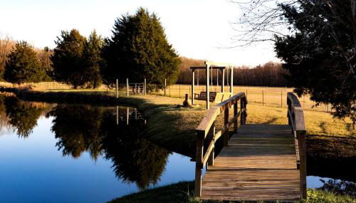Kid and Pet-Friendly Lake Glamping in Tupelo, Mississippi - Foto 4