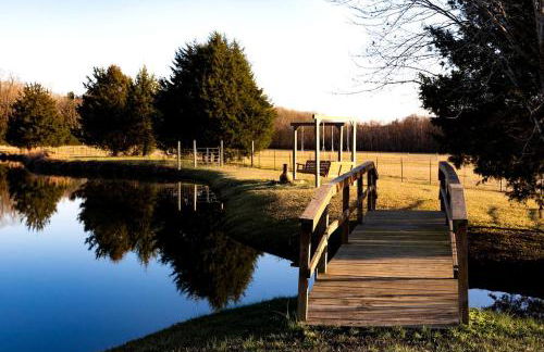 Kid and Pet-Friendly Lake Glamping in Tupelo, Mississippi - Foto 4