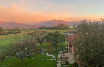Orto del pettirosso - Foto 3