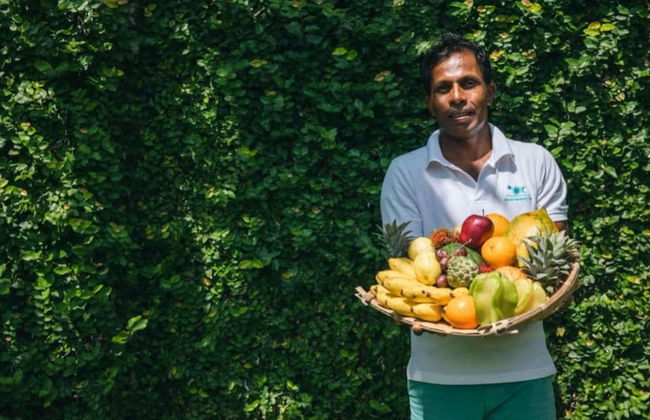 Elevated Family Beach Villa Overlooking Surf Break - Foto 46