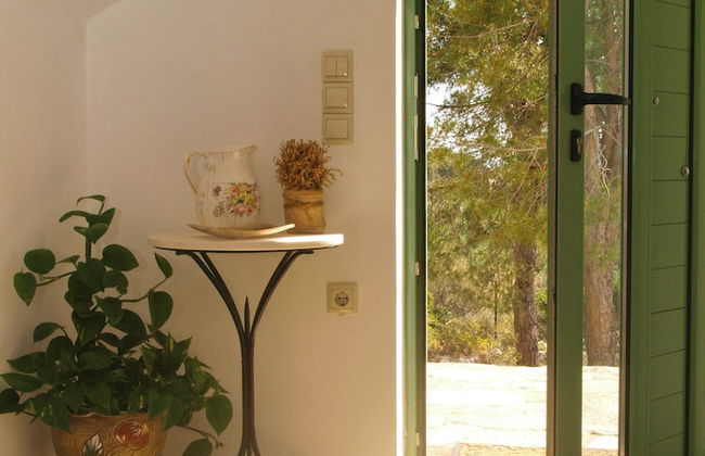 The Garden of Zephyrus - Foto 24