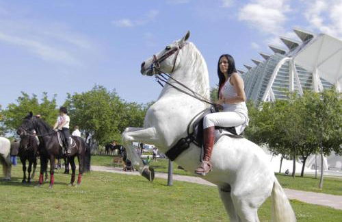 Cosy Flat Catarroja - Foto 12