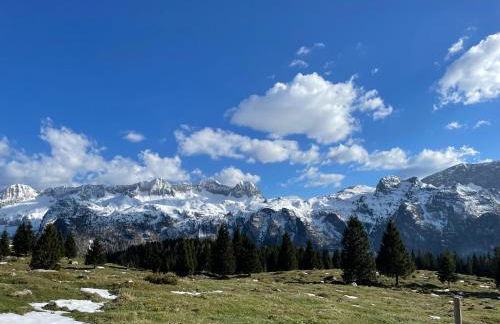 Forest Apartment Zofia - Foto 17