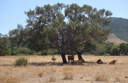 Vacanze a Villa Ortensia - Foto 50