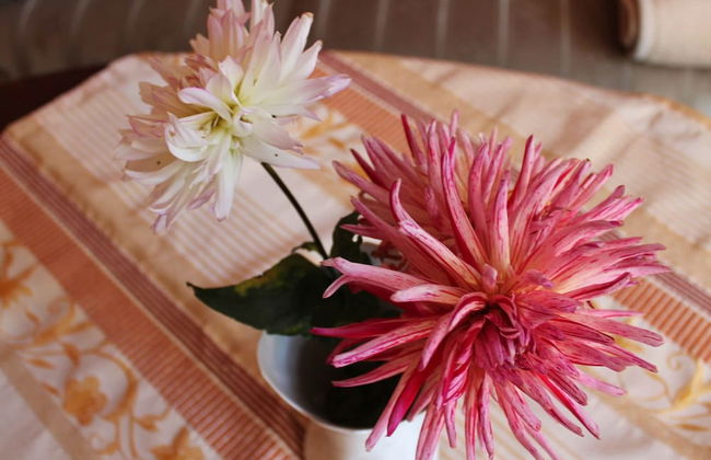 Moderne Ferienwohnung in Kuhlungsborn im Grunen - Foto 12