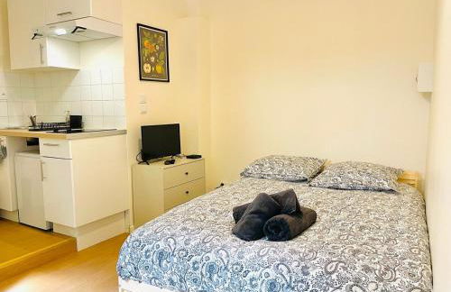 Le petit meublé hyper Centre - Foto 5