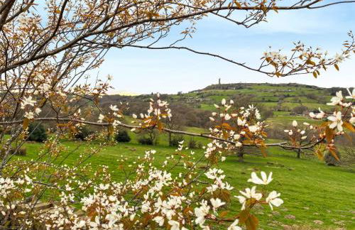 Appleshine Cottage - Foto 12