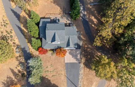 Zen Whisper in the Woods - Foto 32