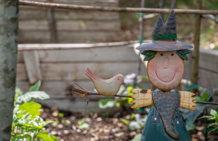 Poggio Al Palio - Foto 75