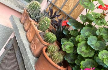 Maison des Artistes - Photo 8