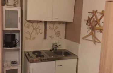 Appartement Am Skihang Altastenberg 1 km zum Skikarusell Winterberg - Photo 33