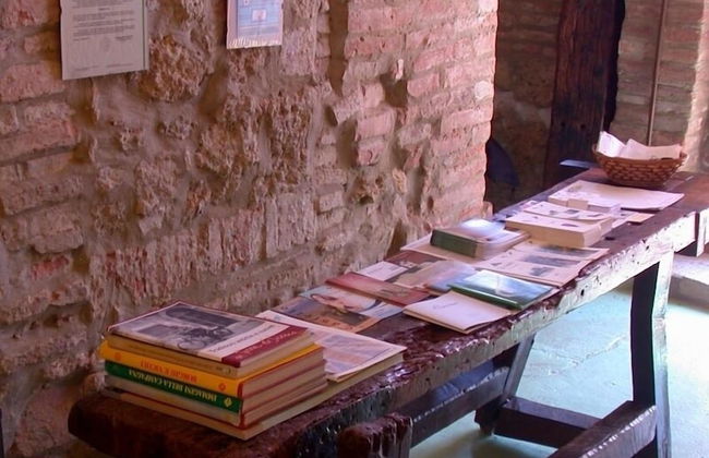 Verdidea - Podere della Bruciata - Foto 5